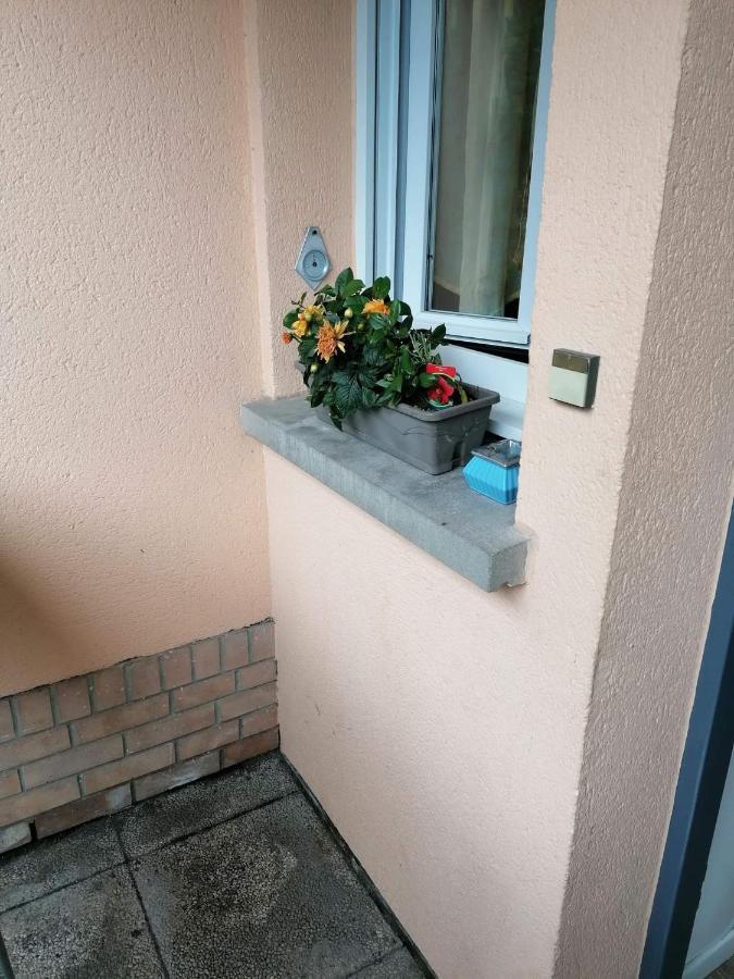 Julie'S Home Bray-Dunes Esterno foto